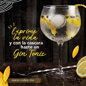 5 Recetas para preparar Gin Tonic